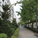 동국대학교사범대학부속중학교 이미지