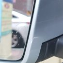 대영유리 이미지