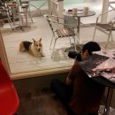 브라운스튜디오