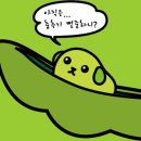다시 시작하는 콩깍지 이벤트 예고~ (대상인원 업데이트중!) 이미지