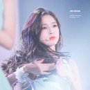 아린이 Daum카페