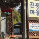 원주곤충마을박물관 이미지