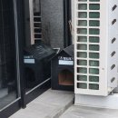 우리닭집 | 경주 중앙시장 맛집 충효닭집에서 반반 닭강정 후라이드 포장한 후기