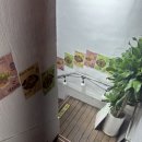 뤄리뤄소 이미지