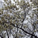 여성문화회관 입구 이미지