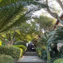 숨도 귤림성 이미지