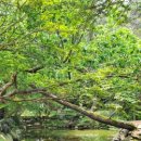 성안옛길(제1코스) 이미지