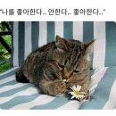 마시쩡 이미지