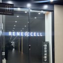 동춘당로114번길 | [르네셀비앙] 피부결정리 광피부미인 쌩얼자신감 직접다녀온후기