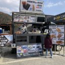 그릴드사우르스