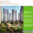 상도스포츠 이미지