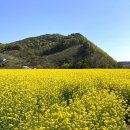 생림국수 이미지