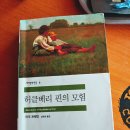 허클 베리핀의 모험. 마크 트웨인 이미지