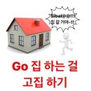 [D+10] NZ :: ep2｡단비 같은 한국인의 존재