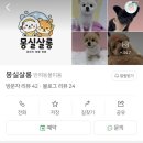 몽실쌀롱 이미지