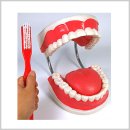 더미통상 이미지