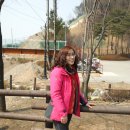 양지공원 이미지