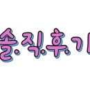 도그살롱바른핏 이미지