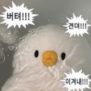 [아티스토리]자격증-선물포장 | 3년차 주니어의 직장 생활에 대한 고찰_#2 다양한 경험을 쌓는 것