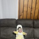 수유세탁 이미지