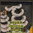 장어야새우줘