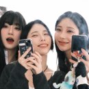 257 이미지