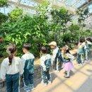 꿈드림유치원 이미지