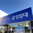 금성 | [가구] 신혼침대 결정끝 | 금성침대 계약후기(삼송 금성침대)