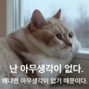 [행부2기] 투에이스님의 절세특강! + 행부스터디! 크로스~ 이미지