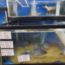 학산하나로마트 이미지