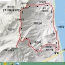 갈티 이미지