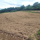 양지-2814 이미지