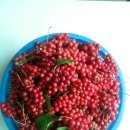 영기농장 이미지