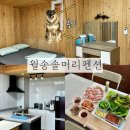 울진솔펜션 이미지