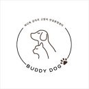 버디독 강아지분양 고양이분양 안심분양센터 인천점 이미지