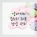 평택우리병원 이미지