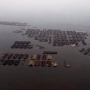 [단독] "北 호우 사망·실종 최대 1500명"…댐 무너지고 구조헬기도 추락 이미지