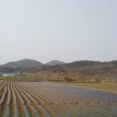 교동정다운농장 이미지