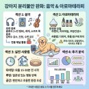 상해아로마테라피 | 강아지 분리불안 완화에 도움이 되는 음악과 아로마테라피: 실전 사용법과 후기 분석