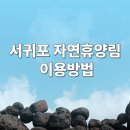 서귀포자연휴양림 이미지
