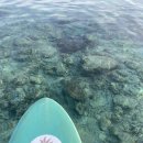 길리섬 투어 추천, Island Guide 일출 패들보트 후기 (예약·비용·드론촬영 총정리)
