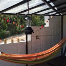 라플로레스타 이미지