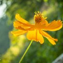 스튜디오서종 이미지