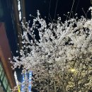 메디슨167 이미지