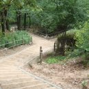 오동근린공원 이미지