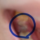 여의도이플러스치과의원 이미지