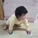 또래방어린이집 이미지