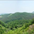 인대산 이미지