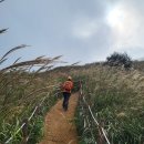 창녕 화왕산환종주 33km.. 은빛 억새 하늘거리는 그 곳에 들다. 이미지