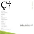 케이이와이 이미지